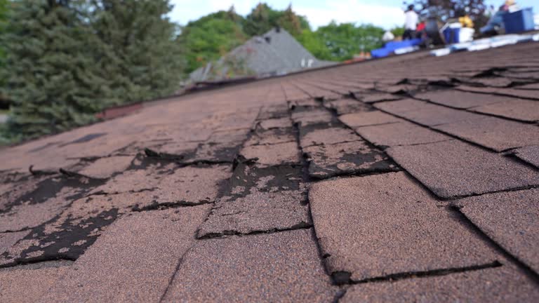 Best Slate Roofing  in Eminence, KY